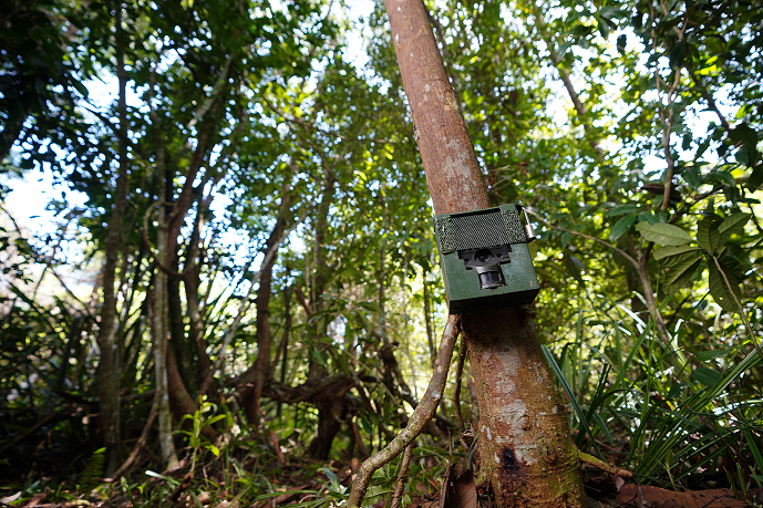 Restorasi Ekosistem Riau (RER) is utilising digital developments to expand monitoring efforts, improve landscape management and even prevent forest and peatland fires. In this article, we explore the potential of various new innovations and reveal the transformative impact that some are already having in the field