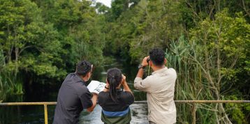 Bird Watching: Mengidentifikasi dan Mempelajari Spesies Burung di Habitat Alaminya