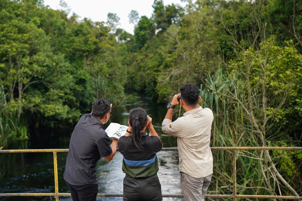 Bird Watching: Mengidentifikasi dan Mempelajari Spesies Burung di Habitat Alaminya