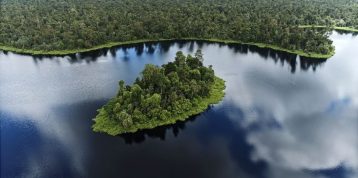 RER dan Masyarakat Lokal Segamai dan Serapung: Kolaborasi Perlindungan dan Restorasi Hutan Gambut Riau