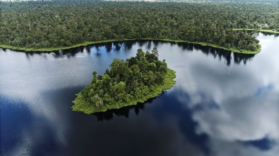 RER bekerja sama dengan dua masyarakat lokal guna mendukung perlindungan dan restorasi hutan, serta menyediakan alternatif penghidupan yang dapat mengurangi ancaman penebangan liar, baik di area RER maupun hutan sekitarnya.